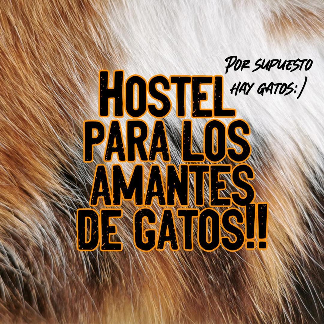 Posada De Los Gatos Bed & Breakfast Puerto Natales Luaran gambar